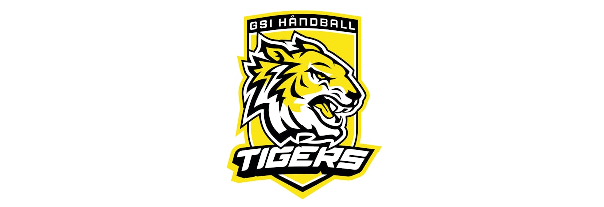 Håndball: Åpen trening (Herrer)